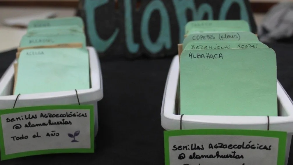 Emprendedores suman ambiente y sustentabilidad en productos y servicios